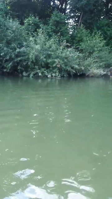 пешком через Псекупс. район подвесного моста. горячий ключ смотреть онлайн