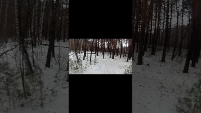 Фоткаю на Panasonic Lumix G2 + Olympus Body Cap Lens