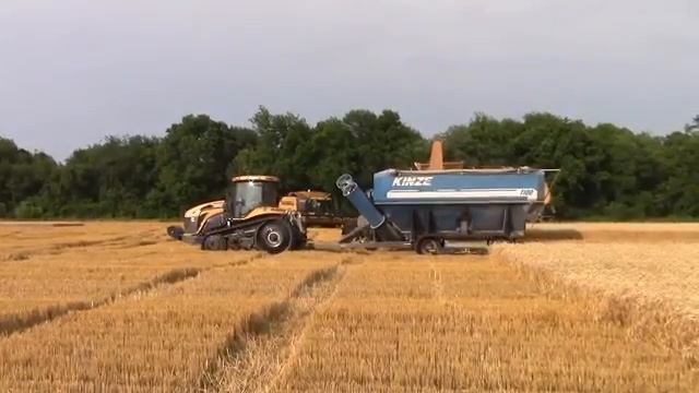2014 уборка пшеницы Challenger,CLAAS смотреть онлайн