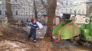 Переработка веток щепу профессиональной дробилкой в Мос. области