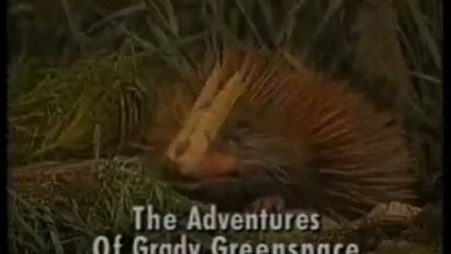 CITV - 'Adventures Of Grady Greenspace' Promo - 1994 смотреть онлайн