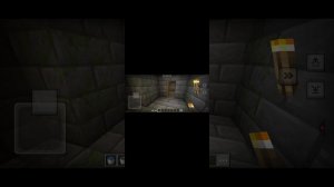 Я Эндер мире /в майнкрафт