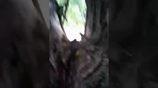 Строки с подругою домик на дереве смотреть онлайн