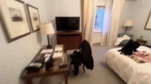 shadowkekw по дружески отшлепал юлю