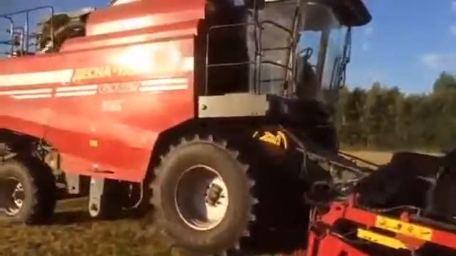 Уборка семян для газона ООО Изумруд смотреть онлайн