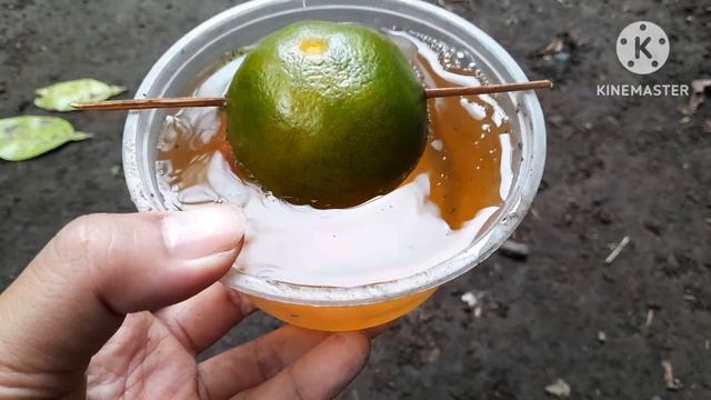 Don't waste your money, Lemon cuttings can grow roots this way смотреть онлайн