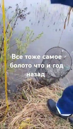 13 мая 2024 г.