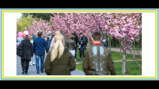 КВ1 Киото 27 04 2021 смотреть онлайн