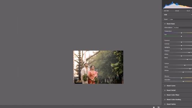 camera raw color grading смотреть онлайн