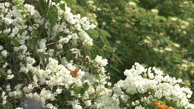Sea of Galilee from Migdal, Israel смотреть онлайн