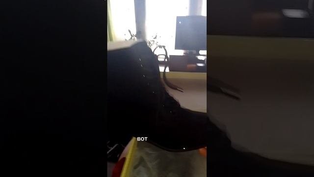 купила себе ботиночки
