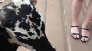 на индийском рынке