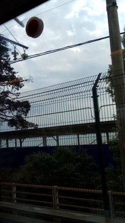 Хоста, следующая остановка Адлер