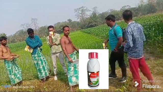 SAI POWER PLUS is a liquid 100% Organic in all better plants growth, flowers paddy смотреть онлайн