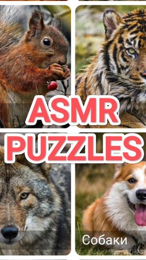🧩🧩 АСМР СОБИРАЕМ ПАЗЛЫ 💤 ASMR PUZZLES