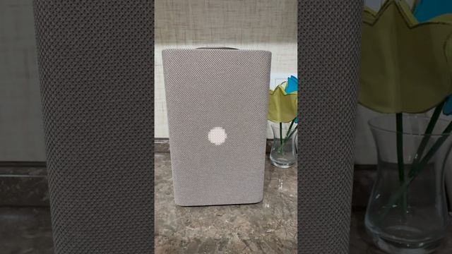 Общение с Алисой смотреть онлайн