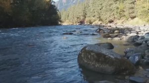 Речка речка... Школьный хит моей Аленки