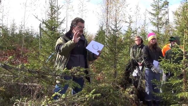 Семинар Павла Безверхова по интенсивному лесному хозяйству (2013 год)