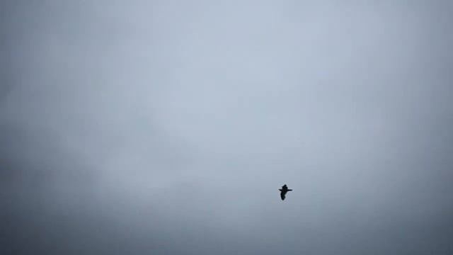 Islandbay, Wellington, NZ 11/1/18 смотреть онлайн