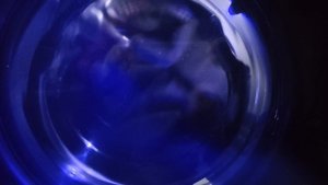 VID_20250319_171354.mp4