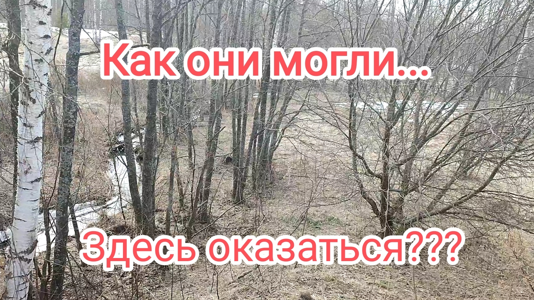 Размеры этих находок меня шокировали!!!Как они могли здесь оказаться???