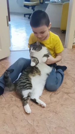 Котик.mp4