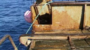 Быстрый бег