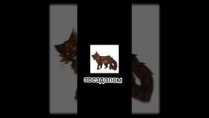 Коты -Воители ВСЕ коты грозового племени {2часть}