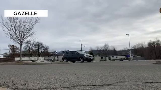 Mushroom Blading_Wizard Skating_1