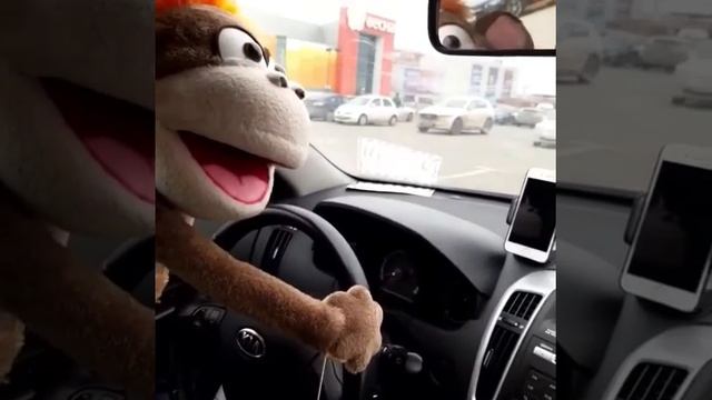 С Днем Кукольника  Театр Кукол Седьмой Лепесток