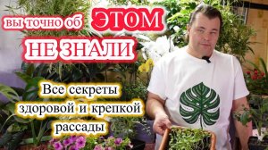 Всё о выращивании рассады и не только.