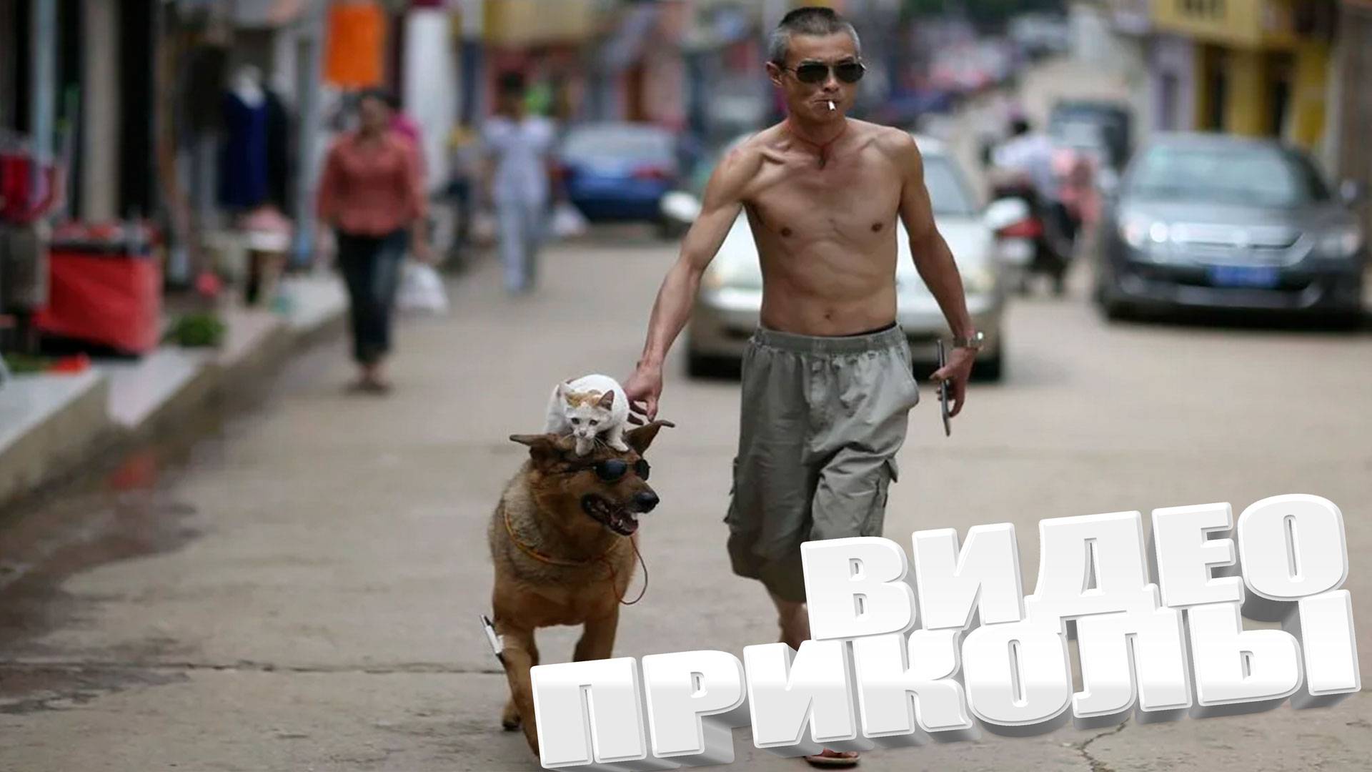 ОТБОРНЫЕ ПРИКОЛЫ \ REELS 2025 \ INSTAGRAM REELS \ BORZO REAL