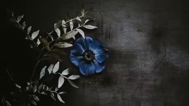 Maria Daines ~ Thats What The Blues Is All About