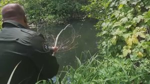 ДЕНЬ РАБАКА. ТАКОЙ РЫБАЛКИ ВЫ ЕЩЁ НЕ ВИДЕЛИ!!!
