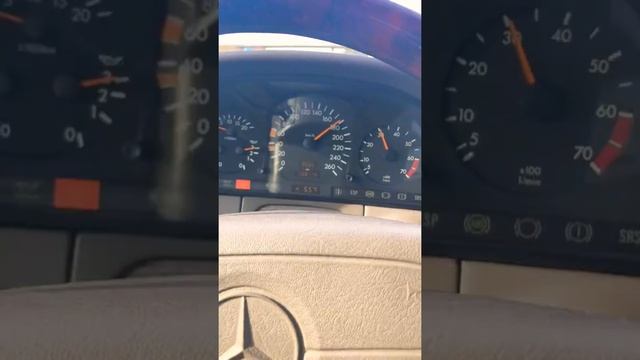 Разгон кабана после зимней спячки! смотреть онлайн