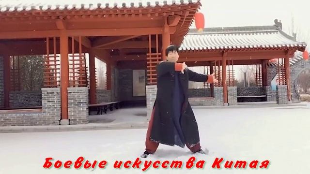 Практика снежного Тайцзи