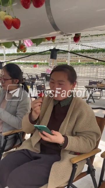 🍓 Автоматизированные плантации в Китае предлагают уникальные кулинарные впечатления в ресторанах