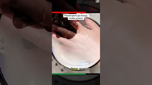 Лайфхаки на всё жизнь