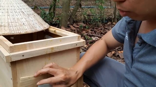 Hướng dẫn cho người mới nuôi ong- Nuôi thùng ong đầu tiên phải làm những gì? смотреть онлайн