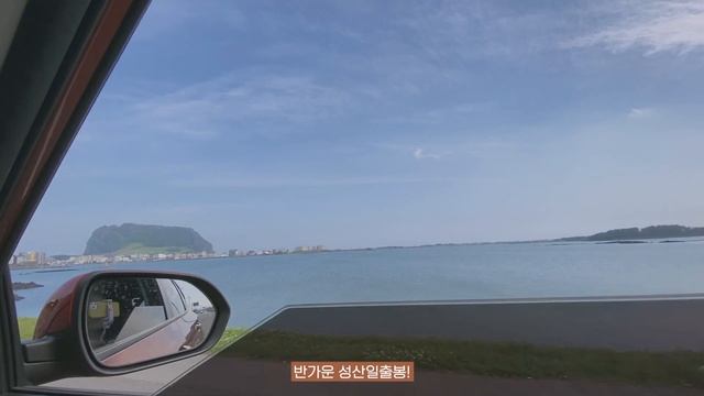제주에서 뭐하지? 제주 종달리해변 수국길 숨은 수국 촬영 스팟 & 쇠소깍 카약＃제주여행