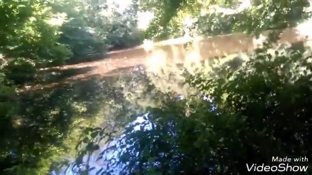 Présentation d'un étang privé partie 1 смотреть онлайн