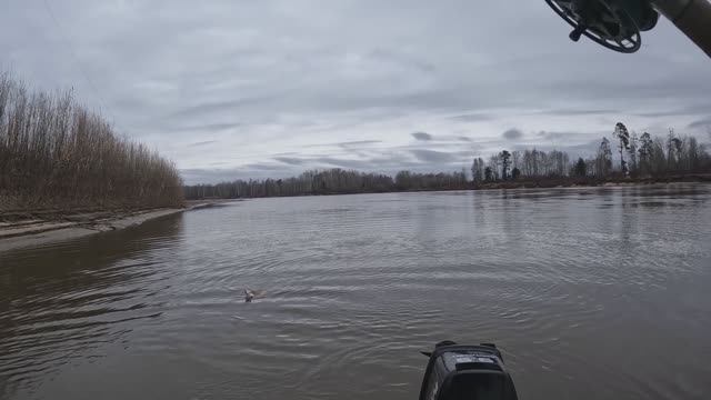 🎣ВСЕТАКИ ВЗЯЛ🎣#топыкатегорий#fishing#рыбалка#carpfishing#природа #туризм#ловля#отдых#ловлящуки#