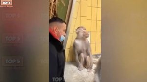 ПОЛНЫЕ ИДИОТЫ НА РАБОТЕ #Неудача недели в подборке мгновенных сожалений 2025