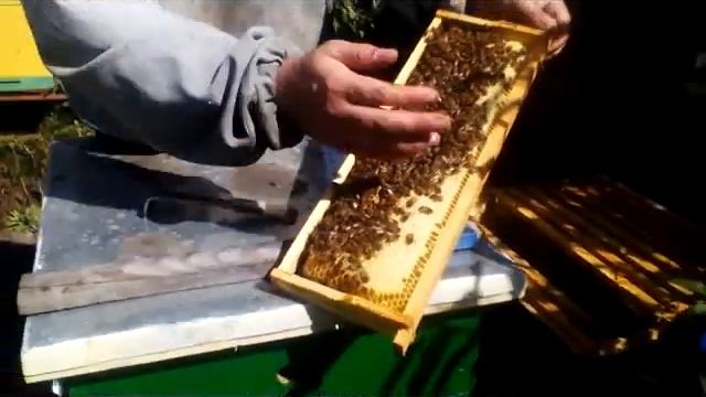 КВ142 9 09 2015 смотреть онлайн