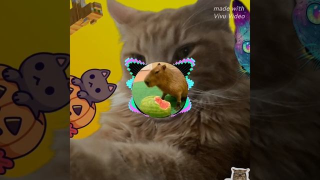 старая рубрика фонк капибара смотреть онлайн