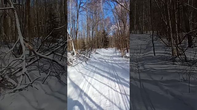 Мой дельтаплан.