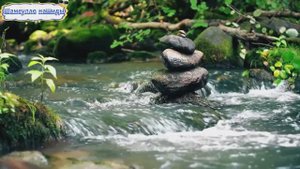 #Islam#Quran#AnNahl#ٌMinshawiy#Коран#АнНахьл#СамыеКрасивыеМеста#Relaxation#4кВиде#6часть#