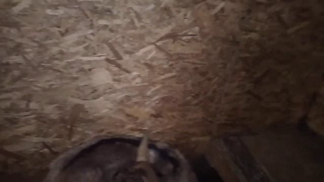 Осушаем козлятник смотреть онлайн