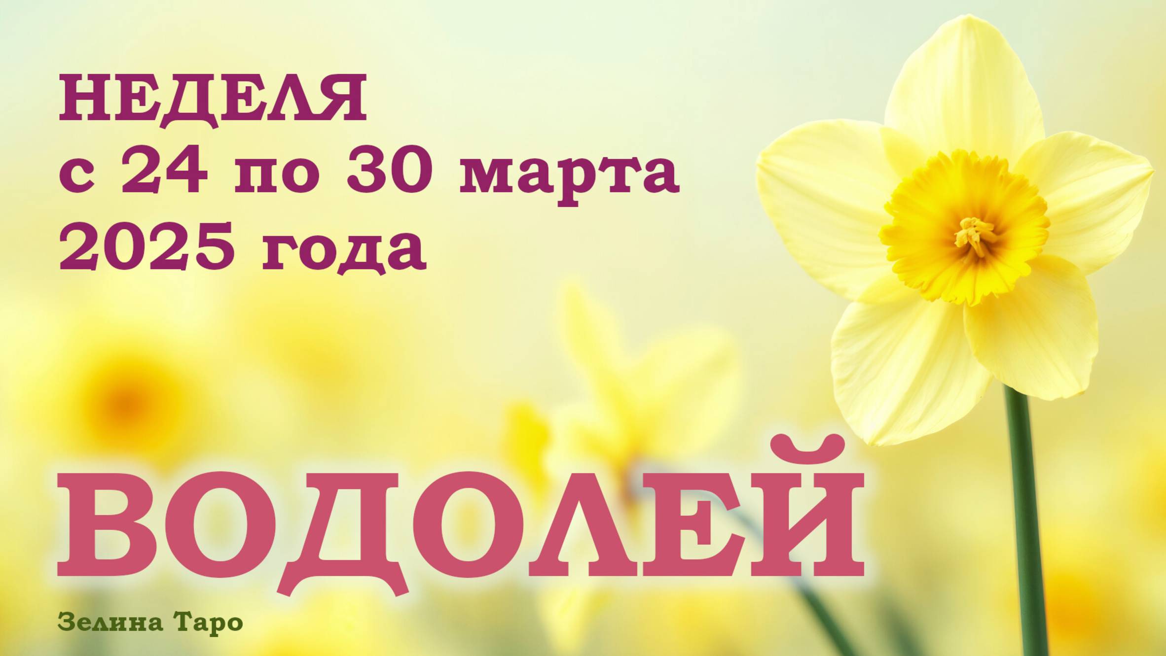 ВОДОЛЕЙ | ТАРО прогноз на неделю с 24 по 30 марта 2025 года