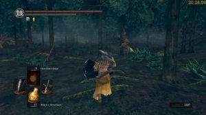 Dark souls 1 ч.25 Гнездо и ДЛС